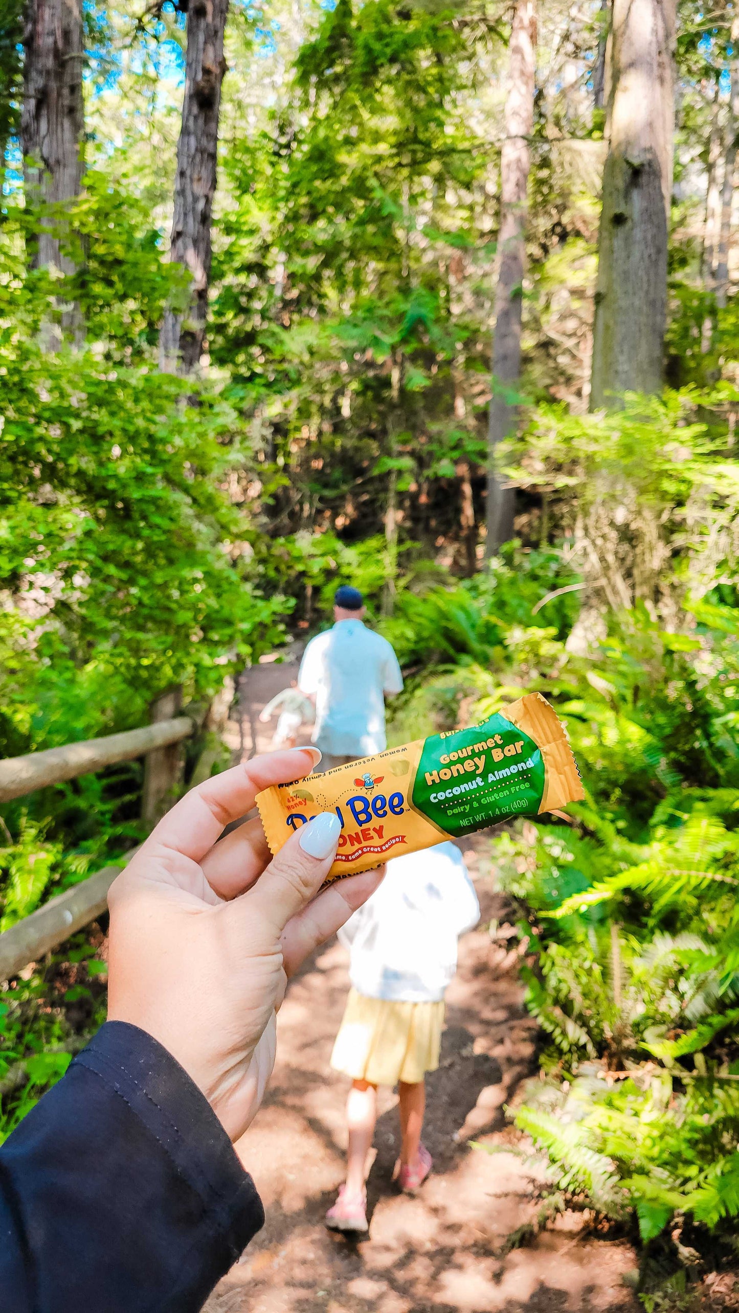 12 pack - Coconut Almond - Bon Bee Gourmet Honey Bars