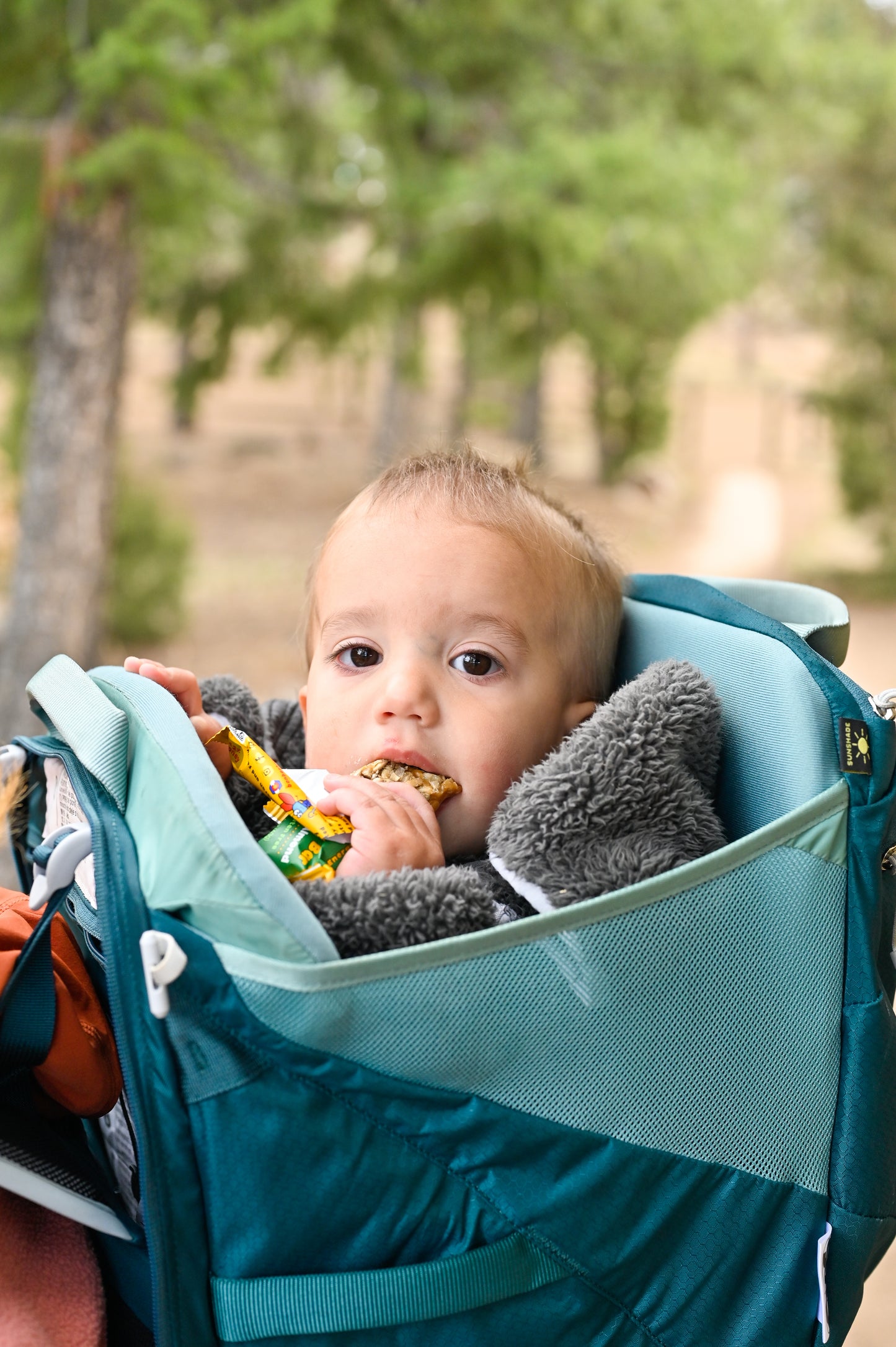 12 pack - Coconut Almond - Bon Bee Gourmet Honey Bars