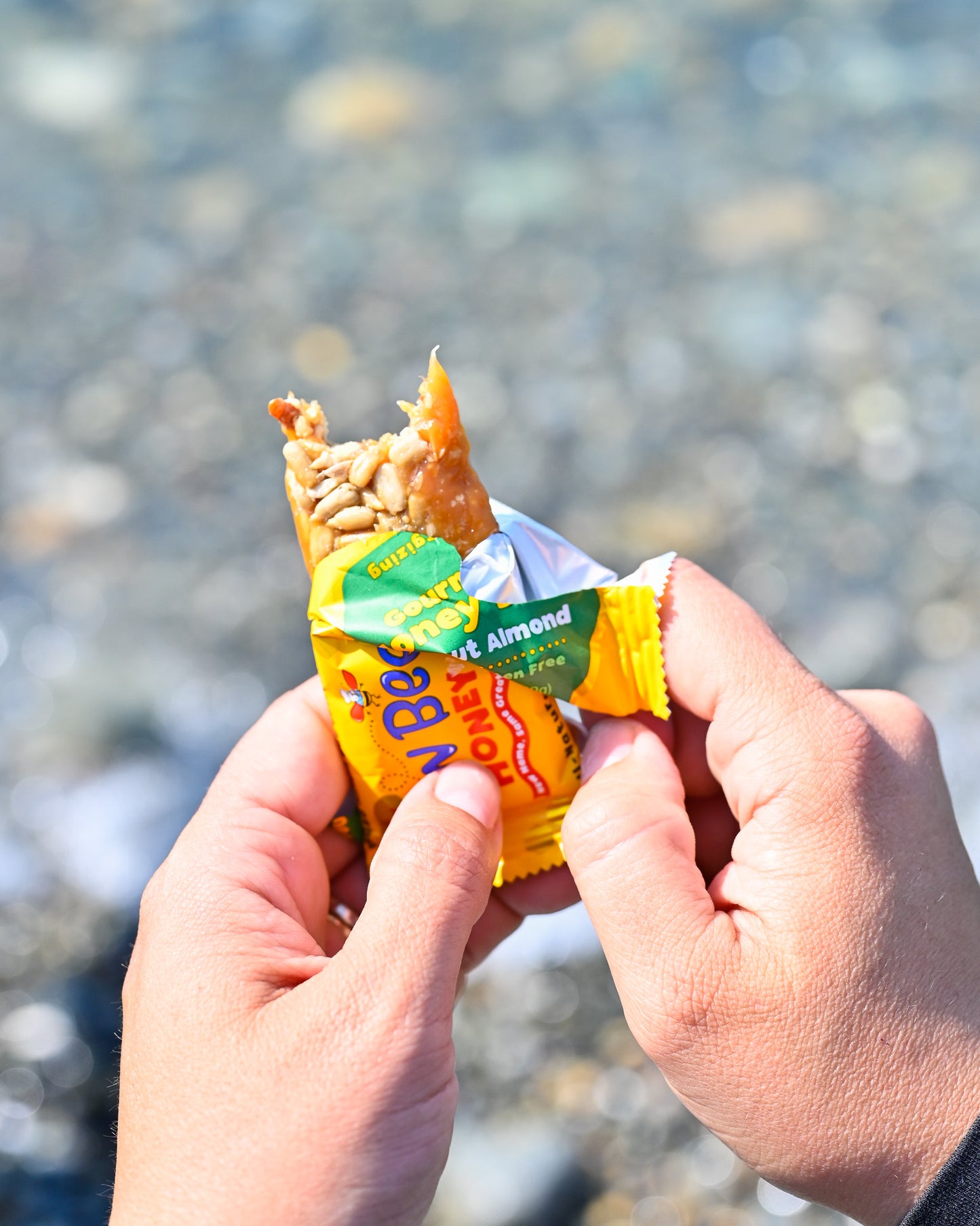 12 pack - Coconut Almond - Bon Bee Gourmet Honey Bars