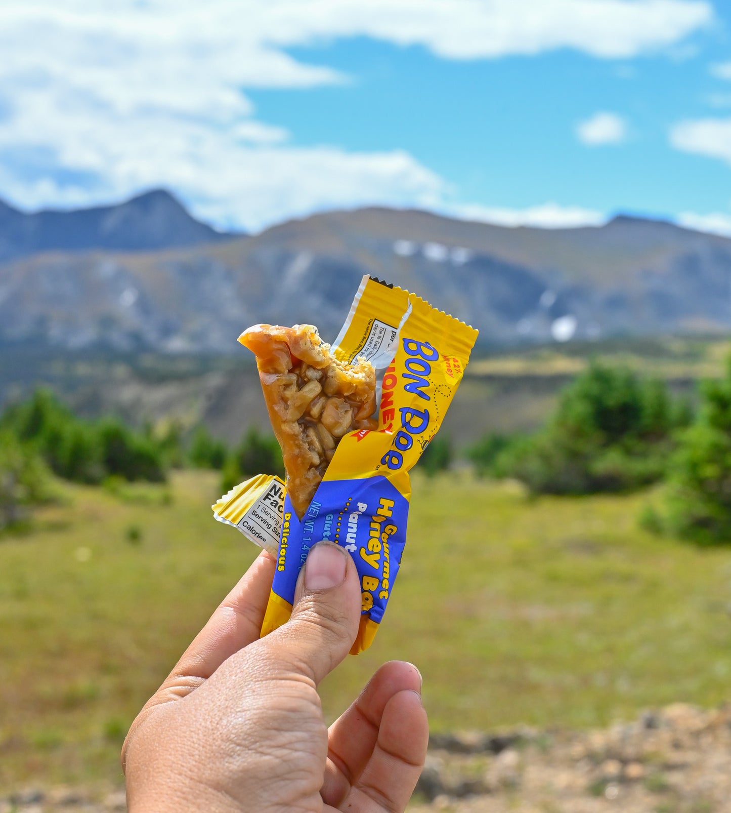 12 pack - Peanut Pecan - Bon Bee Gourmet Honey Bars