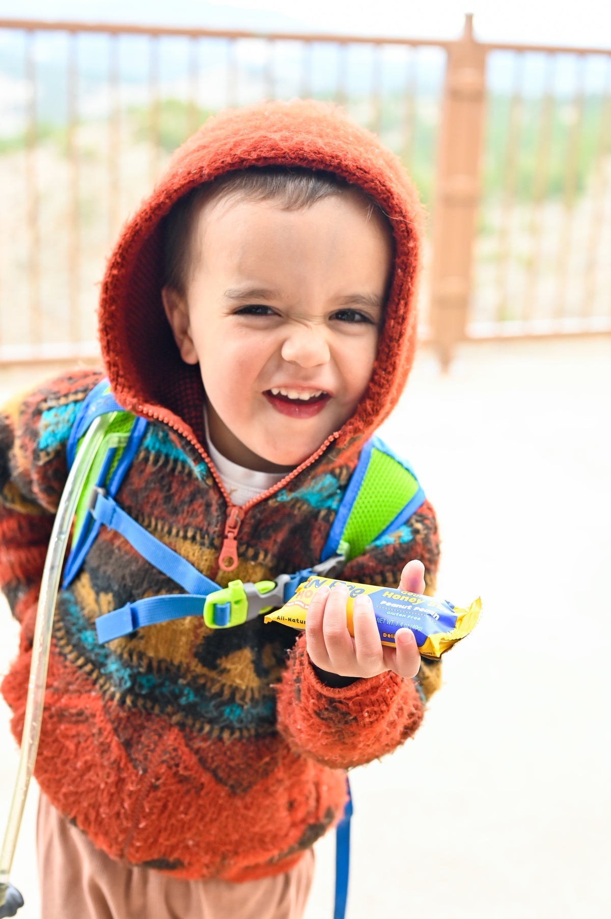 4 Pack - Peanut Pecan - Bon Bee Gourmet Honey Bars